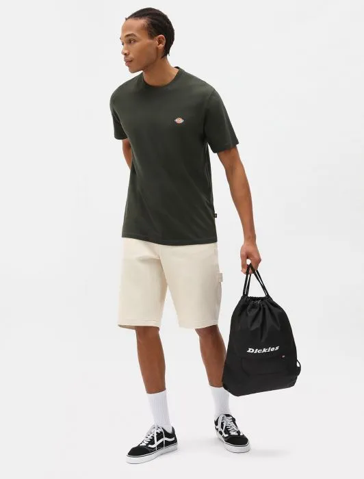 DICKIES - Mapleton Short Sleeve T-Shirt - Olive Green