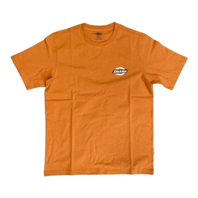 Dickies Men's short sleeve t-shirt Ruston Tee DK0A4XDC C38 yellow ocher