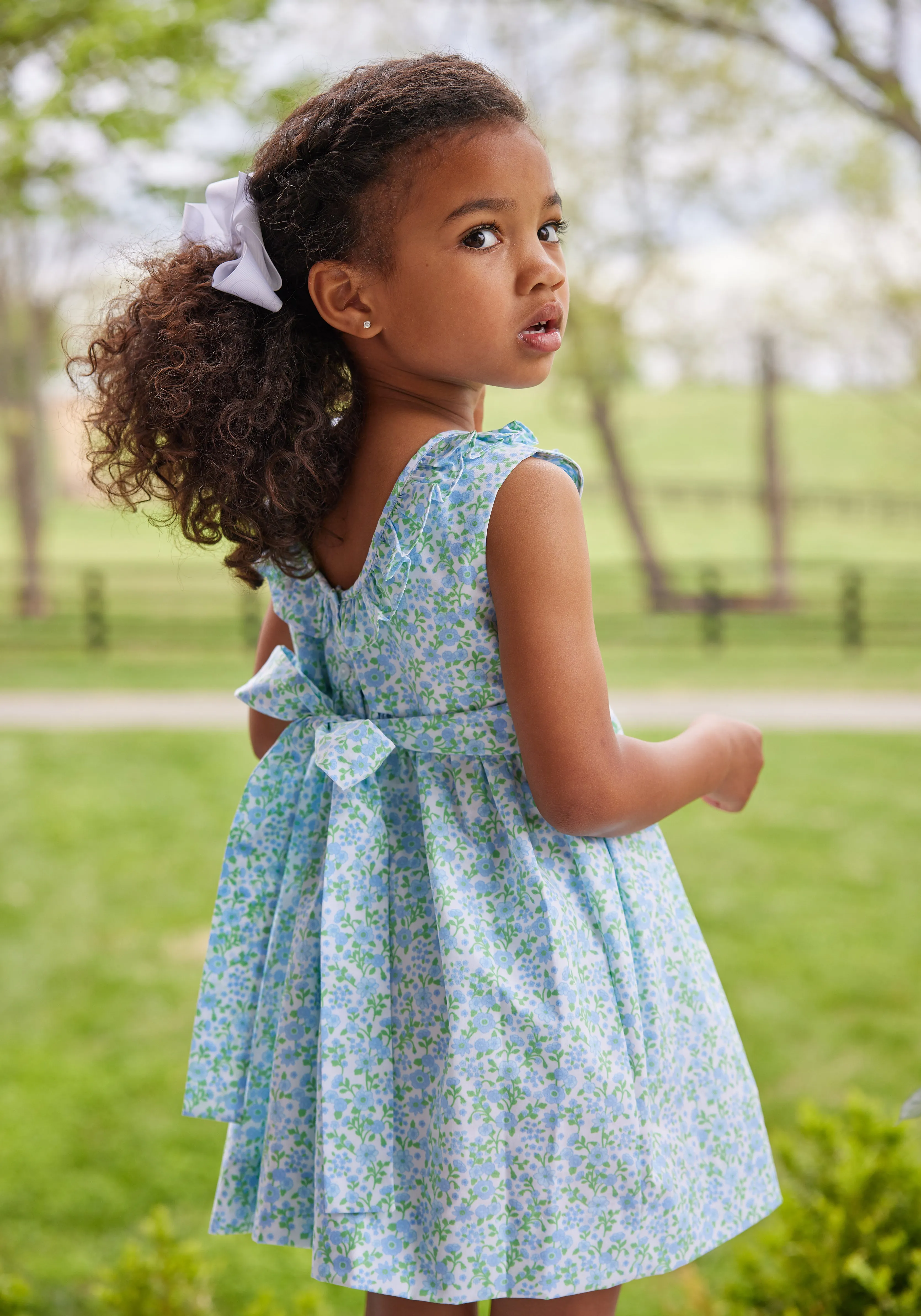 Isabel Dress - Millbrook Floral