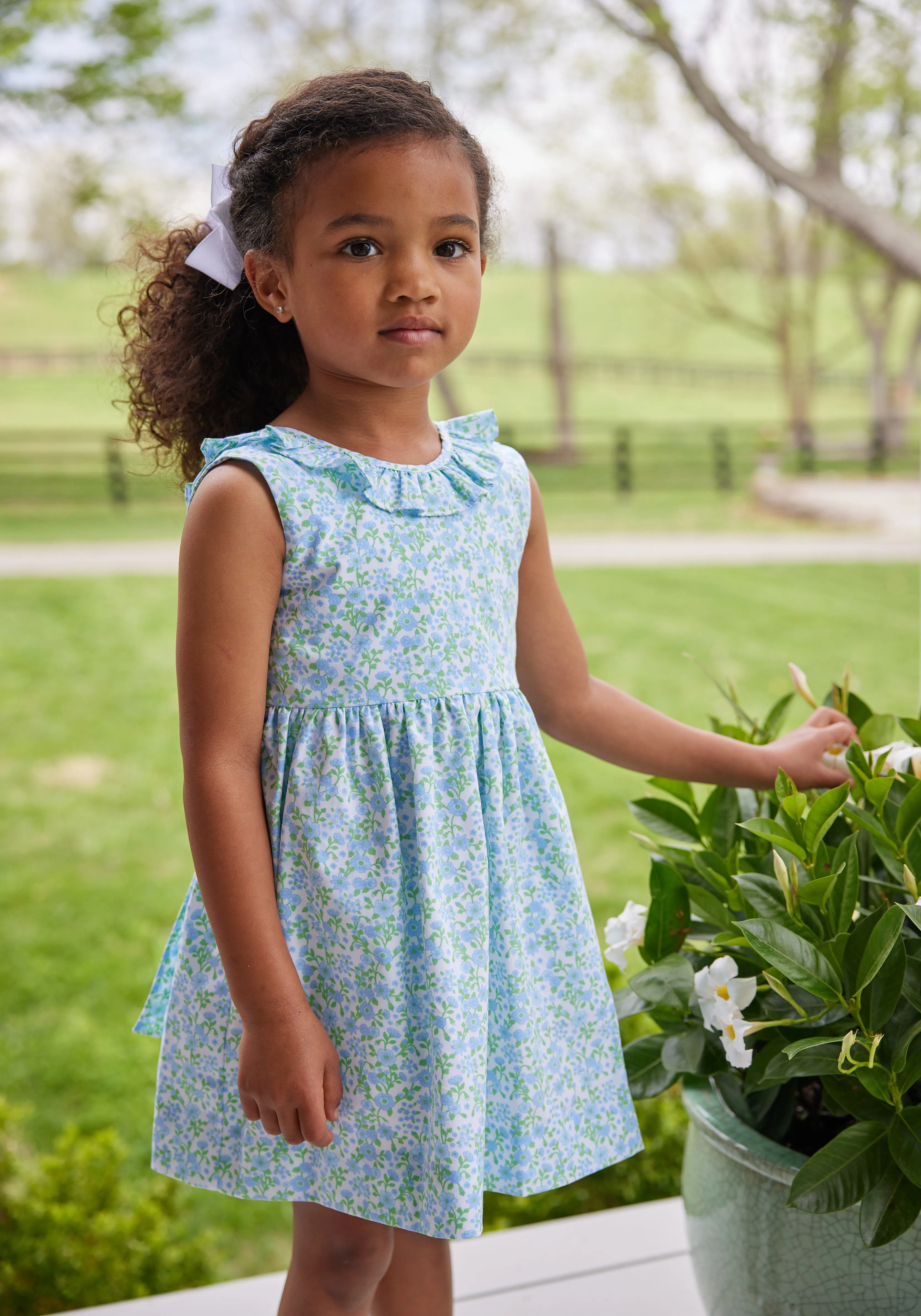 Isabel Dress - Millbrook Floral