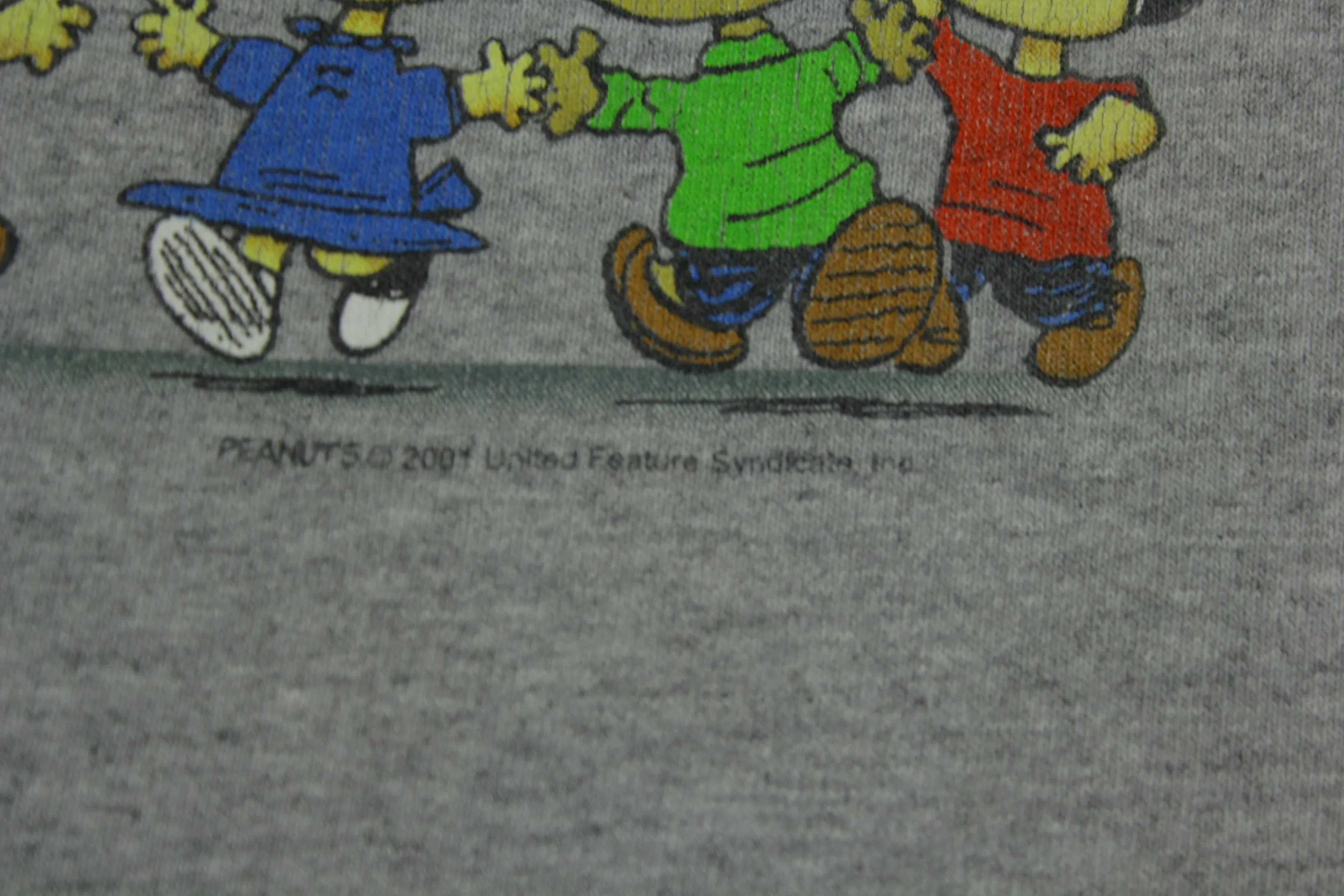 Peanuts Charlie Brown Snoopy Crew 2001 Vintage Y2K Gildan United Feature T-Shirt